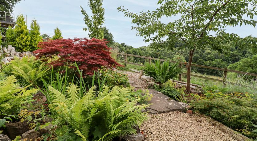 Photo of An Emerald Escape