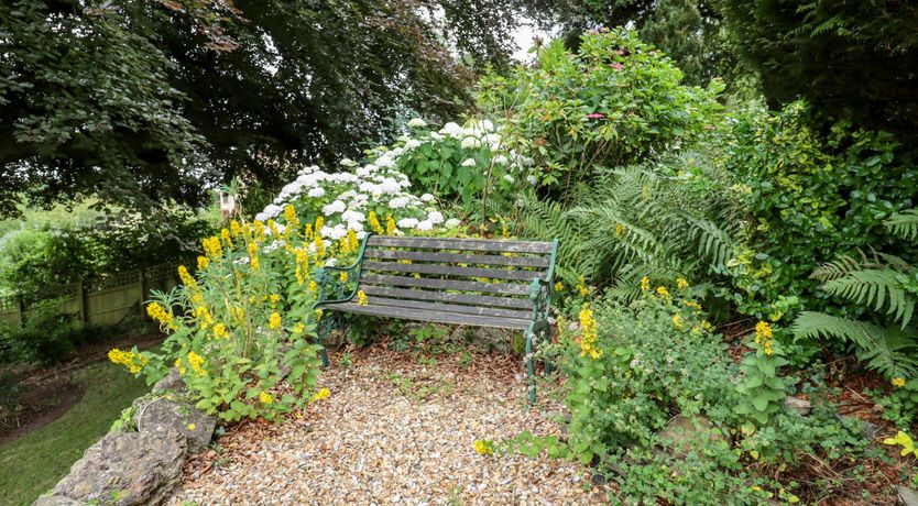 Photo of An Emerald Escape