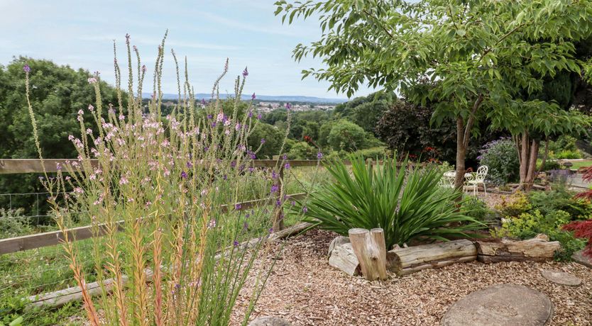 Photo of An Emerald Escape