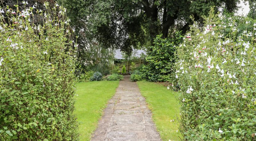 Photo of An Emerald Escape