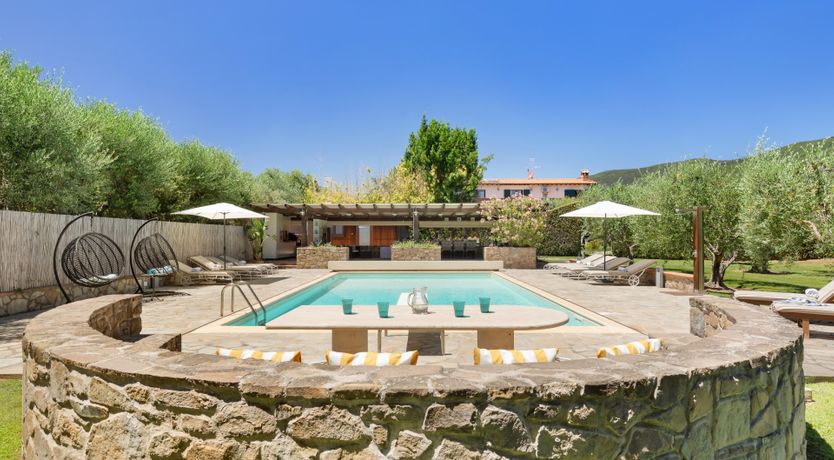 Photo of Olive Delight