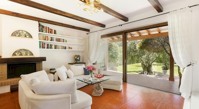 Photo of Olive Delight