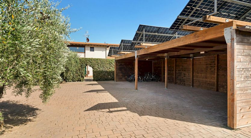 Photo of Olive Delight