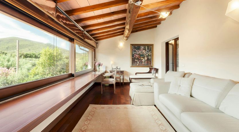 Photo of Olive Delight