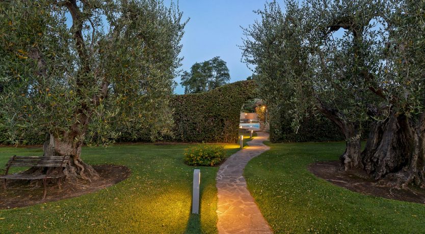 Photo of Olive Delight