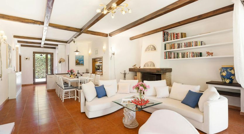 Photo of Olive Delight