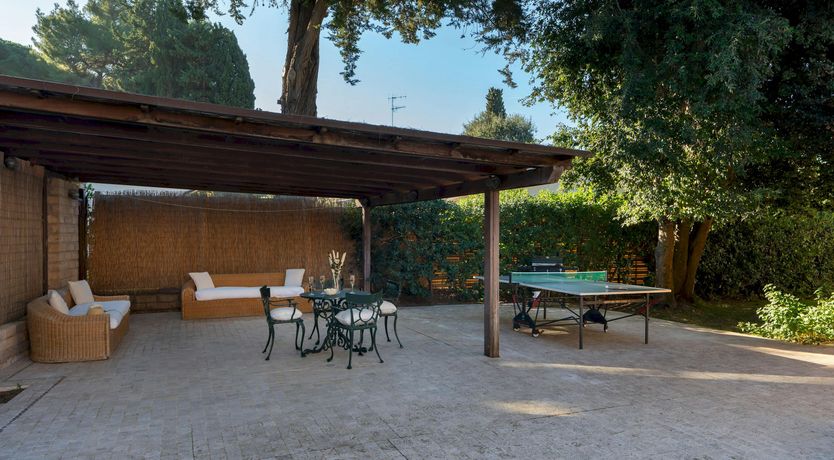 Photo of Maremma Muse