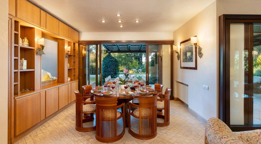 Photo of Maremma Muse