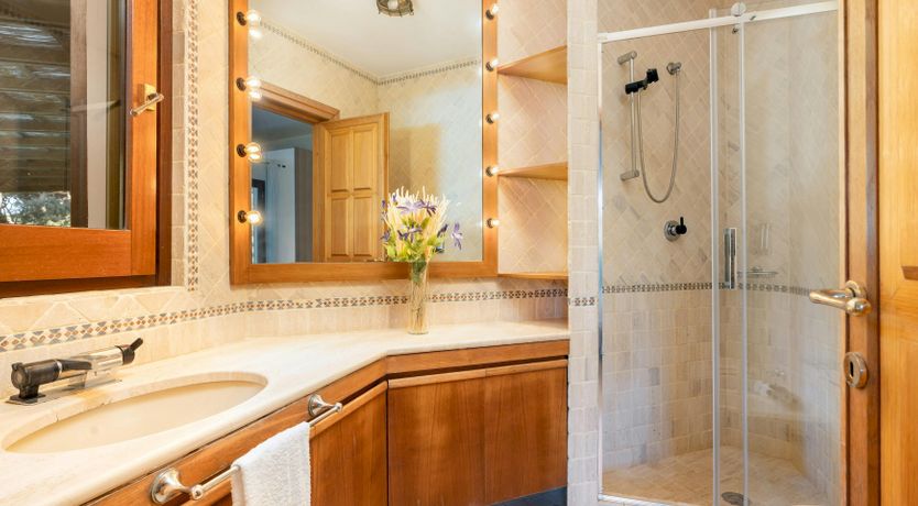 Photo of Maremma Muse