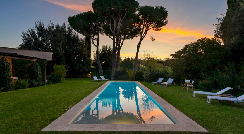 Photo of Maremma Muse