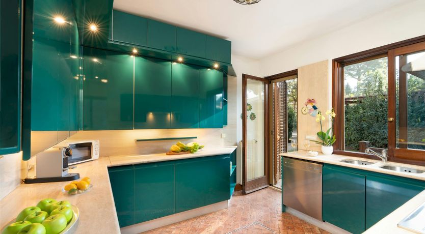 Photo of Maremma Muse