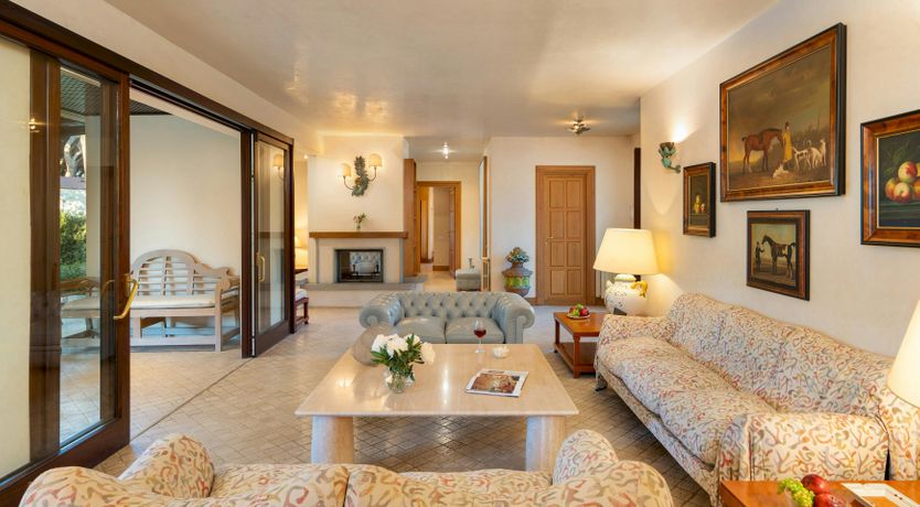 Photo of Maremma Muse