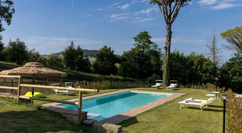 Photo of Pines & Vines