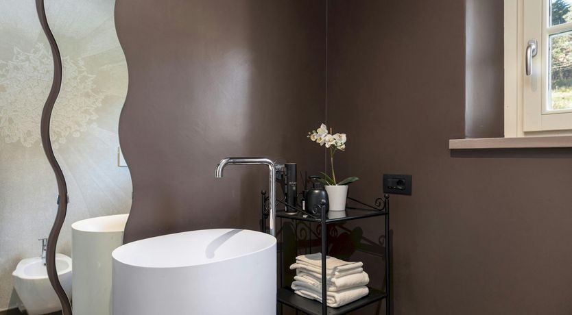 Photo of Pines & Vines