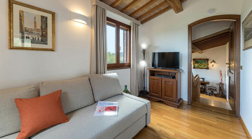 Photo of The Olive Trees