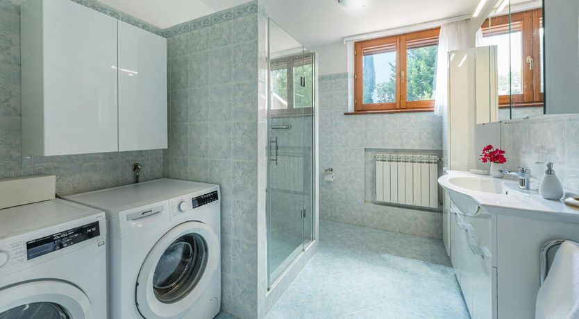 Photo of The Olive Trees