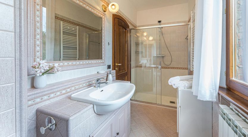 Photo of The Olive Trees