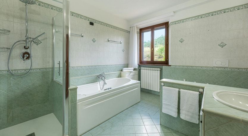 Photo of The Olive Trees