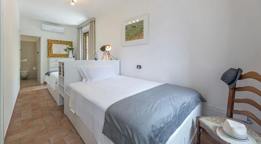 Photo of The Olive Trees