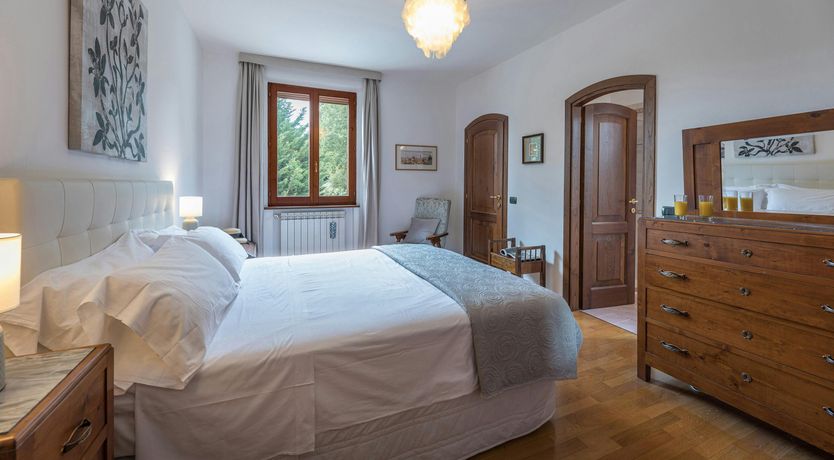 Photo of The Olive Trees