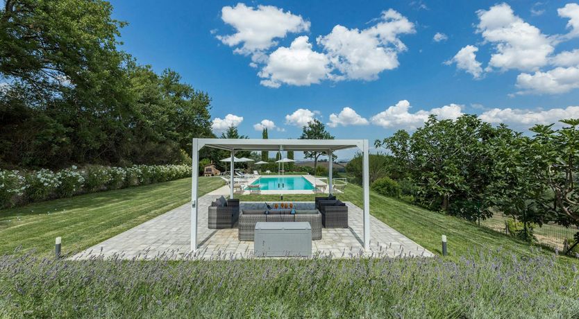 Photo of The Olive Trees