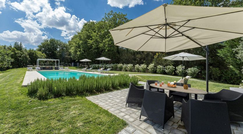 Photo of The Olive Trees