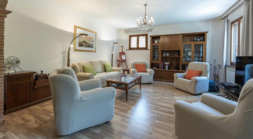 Photo of The Olive Trees