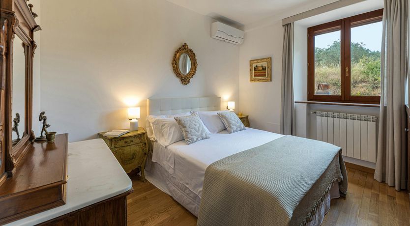 Photo of The Olive Trees