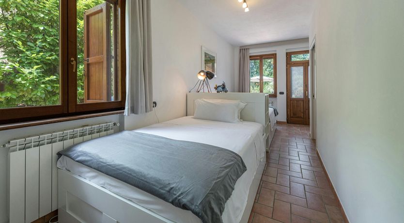 Photo of The Olive Trees