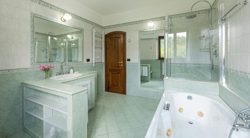 Photo of The Olive Trees