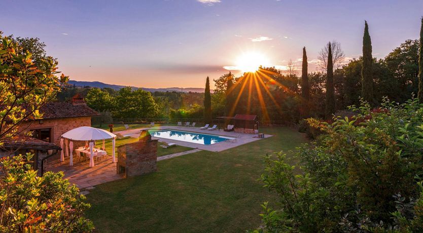 Photo of Tuscan Geraniums