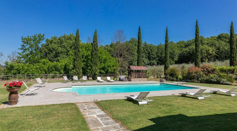 Photo of Tuscan Geraniums