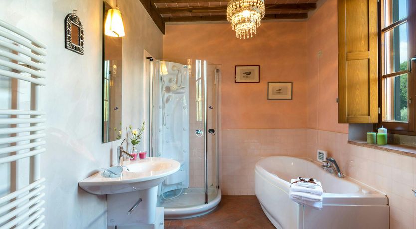 Photo of Tuscan Geraniums