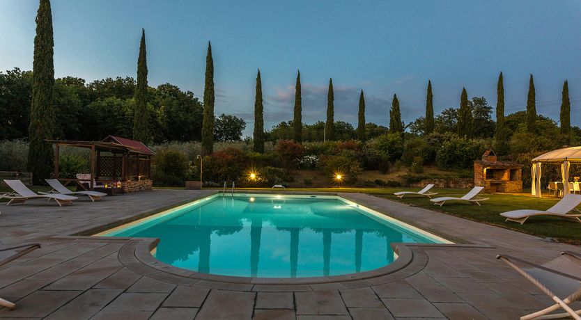 Photo of Tuscan Geraniums