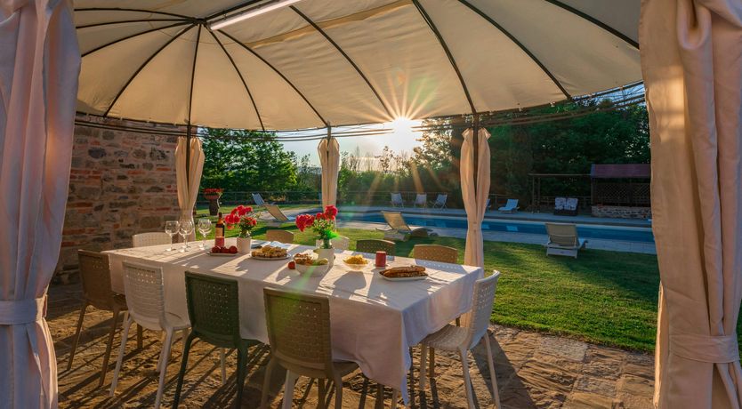 Photo of Tuscan Geraniums