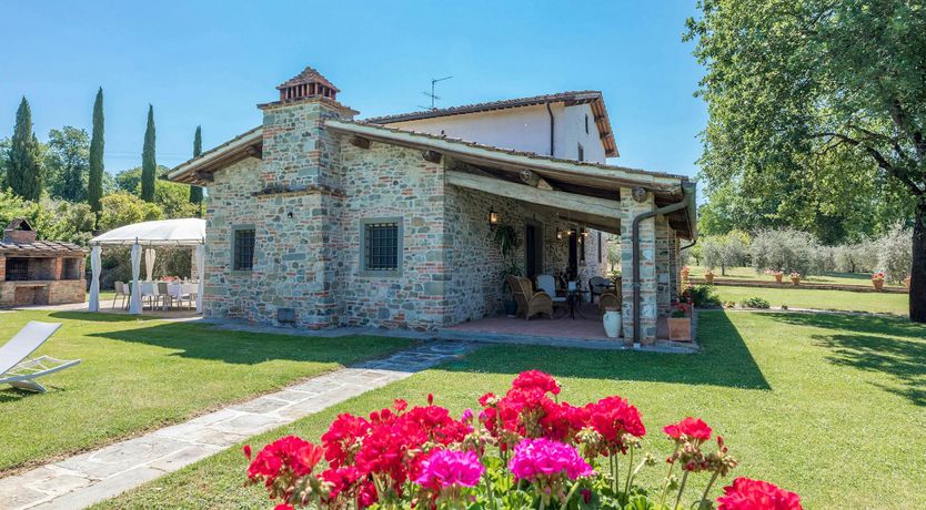 Photo of Tuscan Geraniums