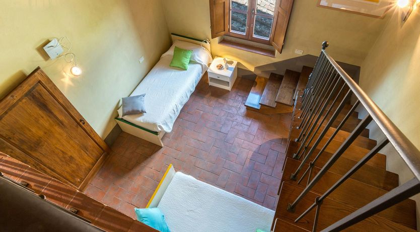 Photo of Tuscan Geraniums