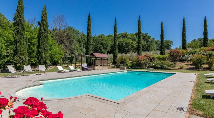 Photo of Tuscan Geraniums