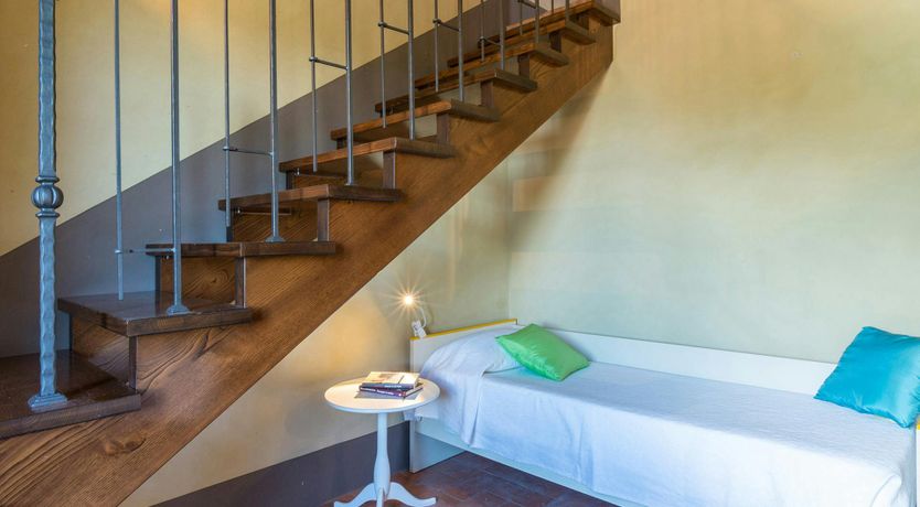 Photo of Tuscan Geraniums