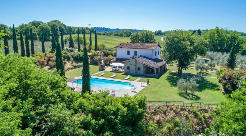 Photo of Tuscan Geraniums
