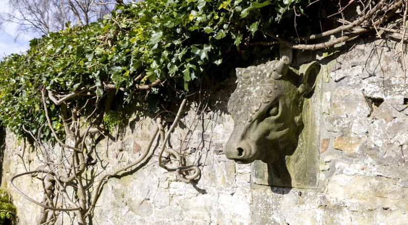 Photo of Cherry Cask