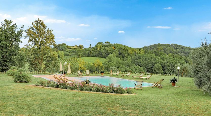 Photo of Olive Grove Hills