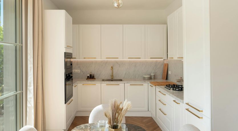 Photo of Tropical Palms