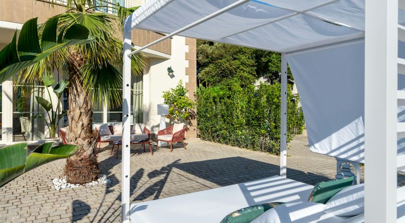 Photo of Tropical Palms