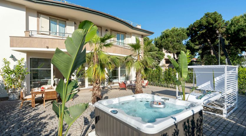 Photo of Tropical Palms