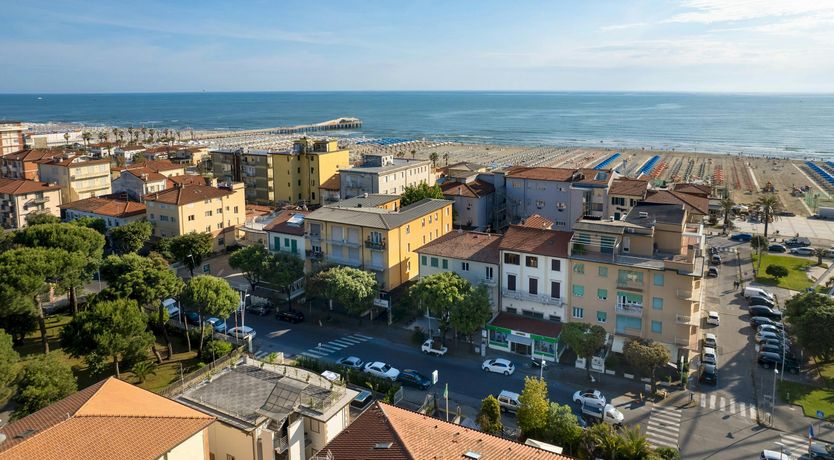 Photo of Tropical Palms