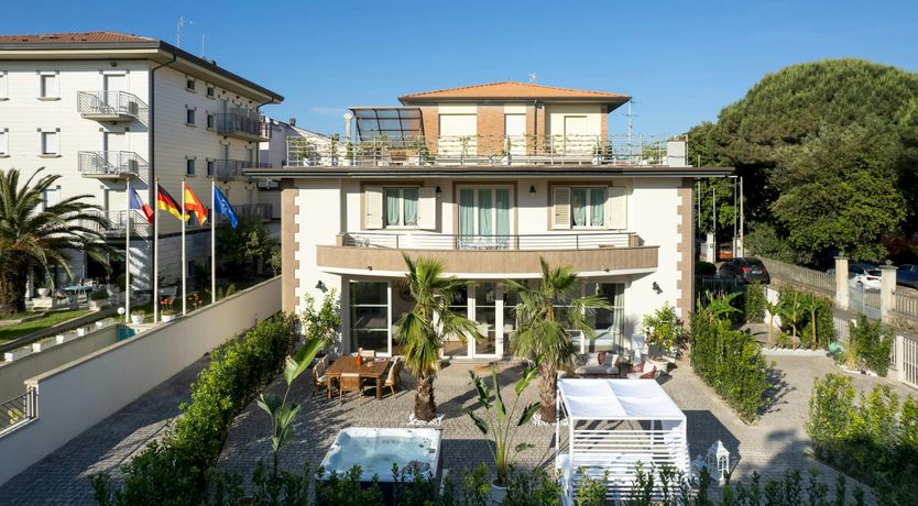 Photo of Tropical Palms