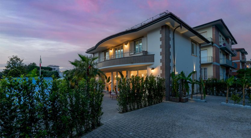 Photo of Tropical Palms