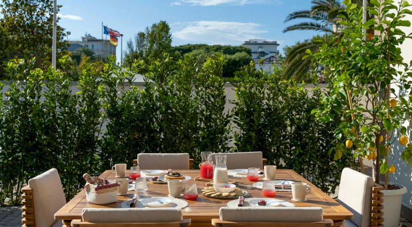 Photo of Tropical Palms