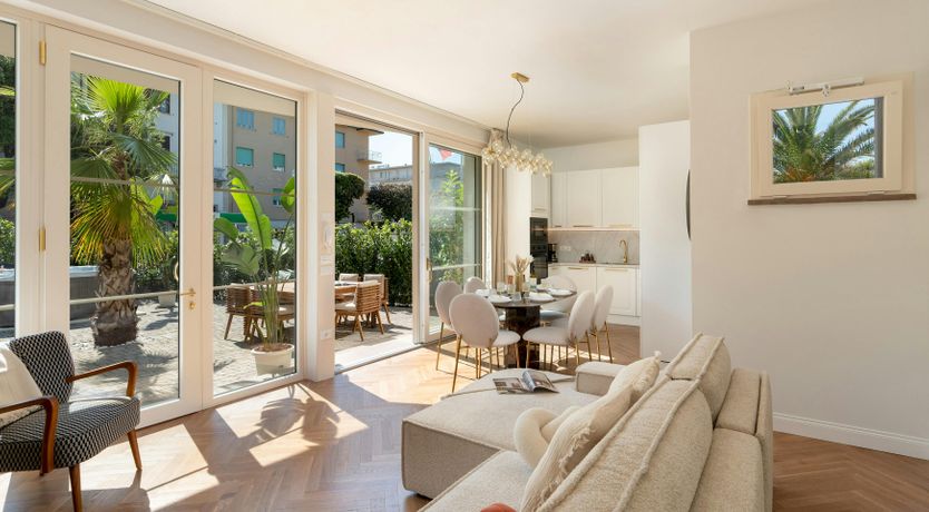 Photo of Tropical Palms